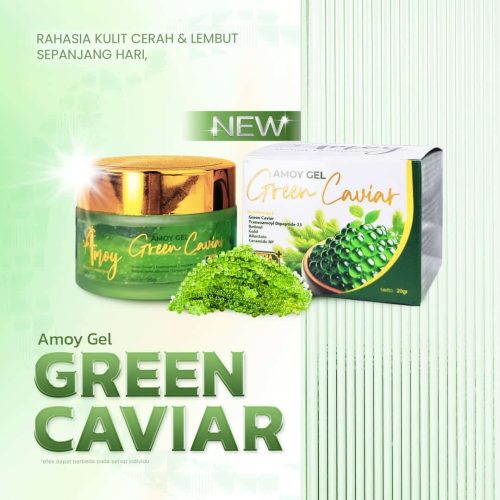 ClipDown.App_466596406_1116346740491078_7174777063188304178_n